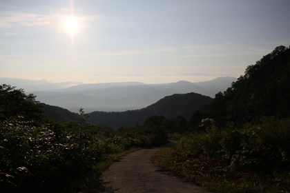 p_011.jpg