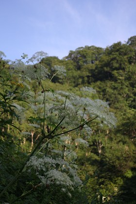 p_014.jpg