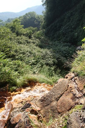 p_018.jpg