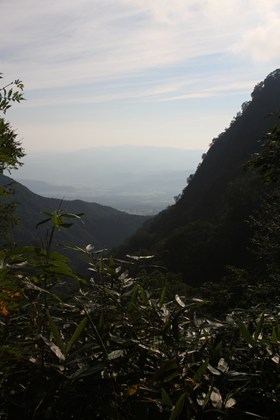 p_021.jpg
