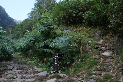p_022.jpg