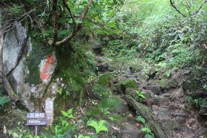 p_023.jpg