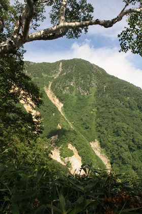 p_024.jpg