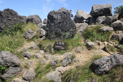 p_044.jpg