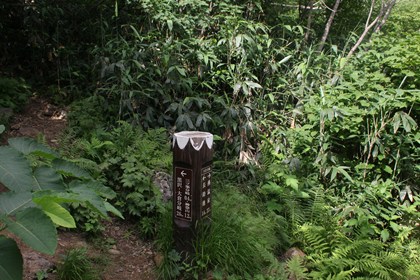 p_060.jpg