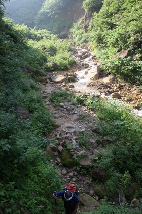 p_067.jpg