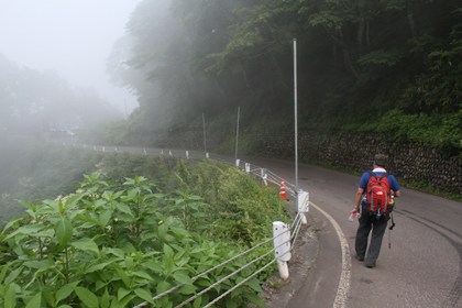 p_074.jpg