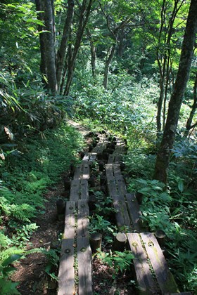 p_084.jpg