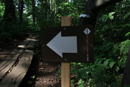 p_088.jpg