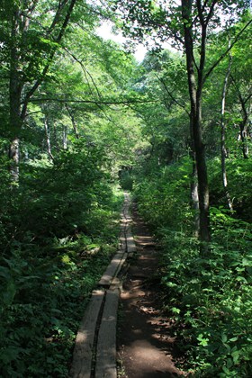 p_091.jpg