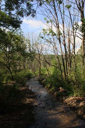 p_092.jpg