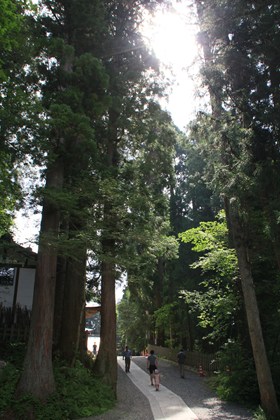 p_095.jpg