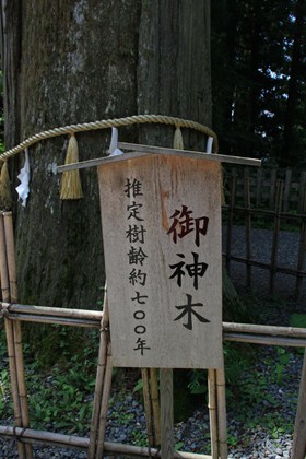 p_099.jpg