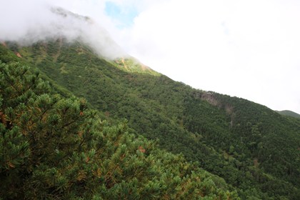 p_014.jpg