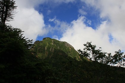 p_015.jpg