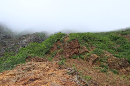 p_017.jpg