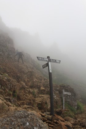 p_018.jpg