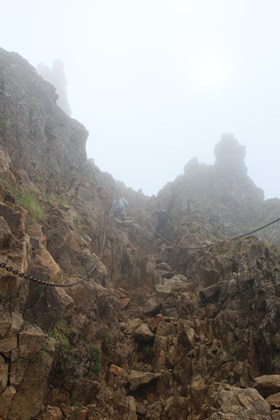 p_019.jpg