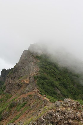 p_036.jpg
