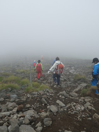 p_041.jpg