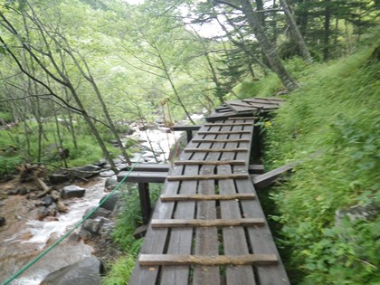 p_072.jpg