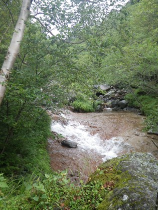 p_074.jpg