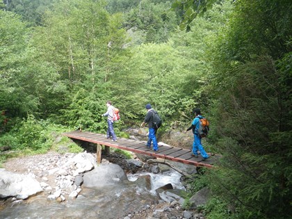 p_075.jpg