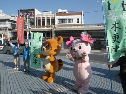 p_008.jpg