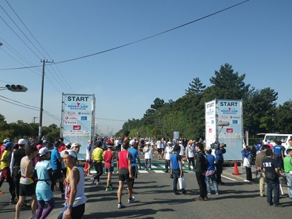 p_015.jpg