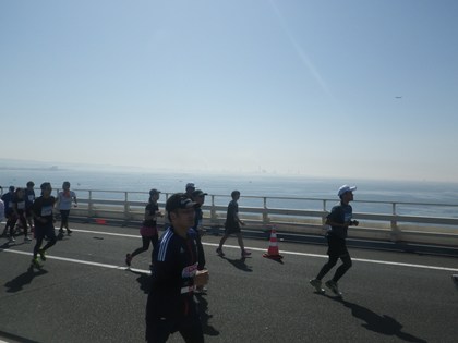 p_062.jpg
