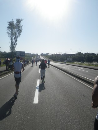 p_086.jpg