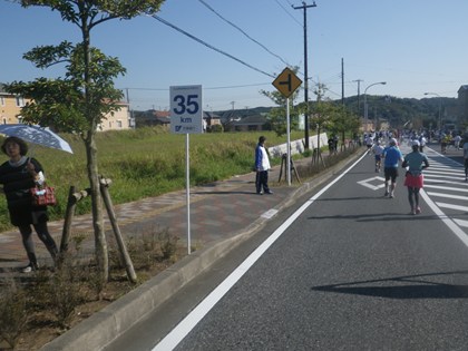 p_087.jpg