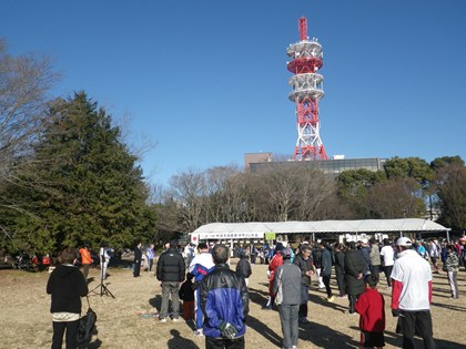 p_003.jpg
