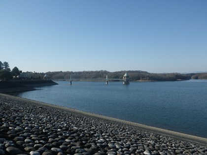 p_021.jpg