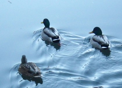 p_024.jpg