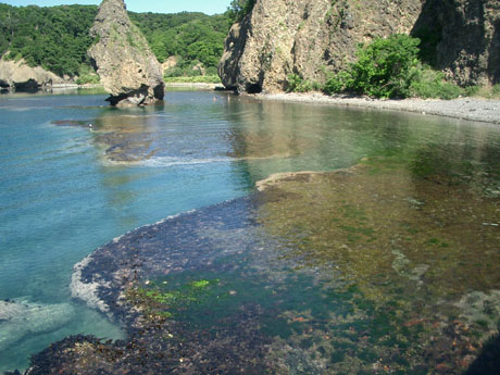 神威岬近くの海