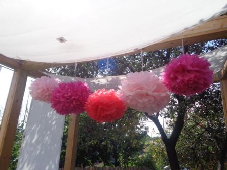 PomPom