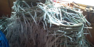 20100225072145.jpg