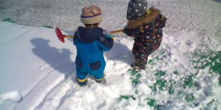 20100312133719.jpg