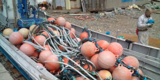 20100409104905.jpg