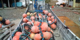 20100409104845.jpg