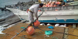 20100409074529.jpg