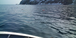 20100412145238.jpg