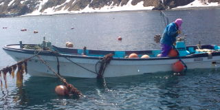 20100412120348.jpg