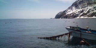 20100412120323.jpg