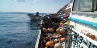 20100416090249.jpg