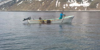 20100417101658.jpg