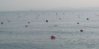 20100417082332.jpg