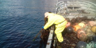 20100417082207.jpg