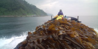 20100718145051.jpg